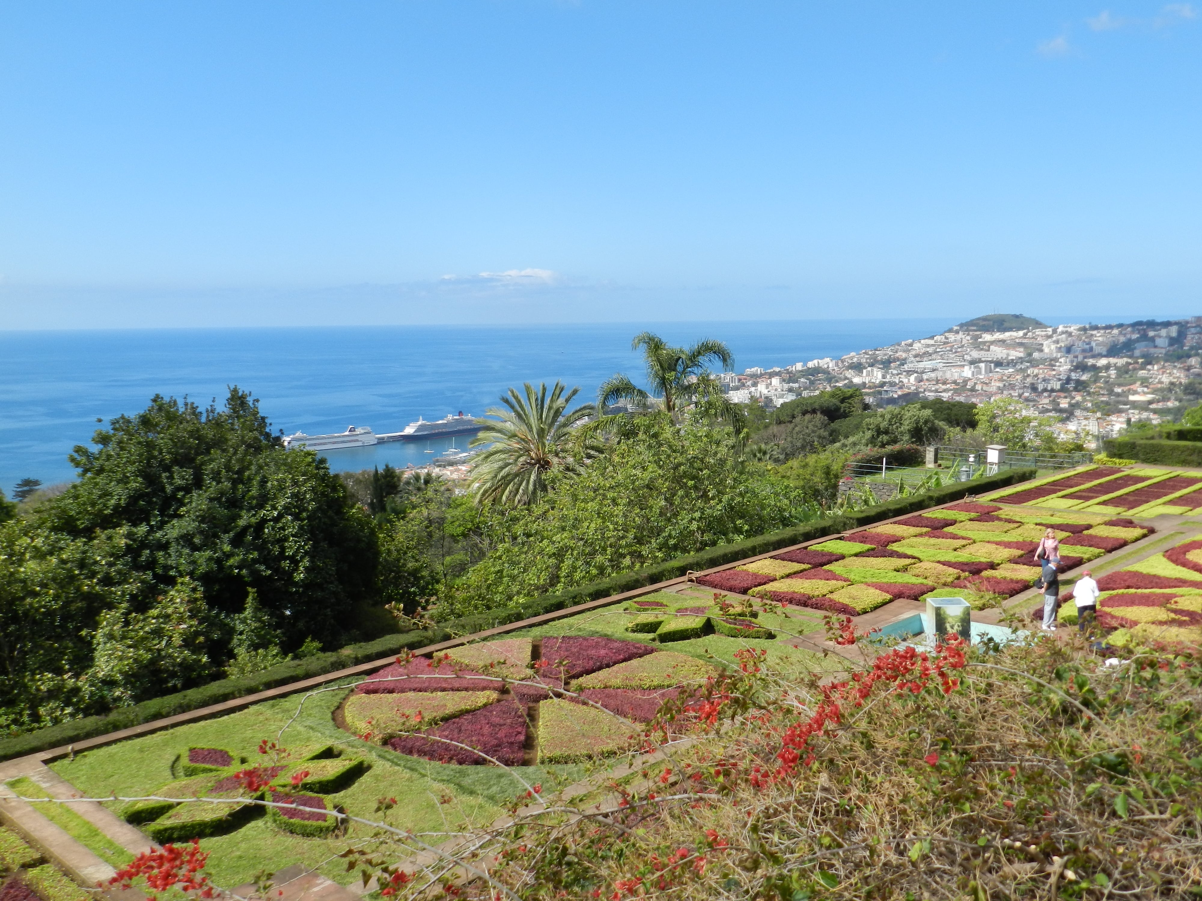 le jardin botanique de Funchal à Madère
