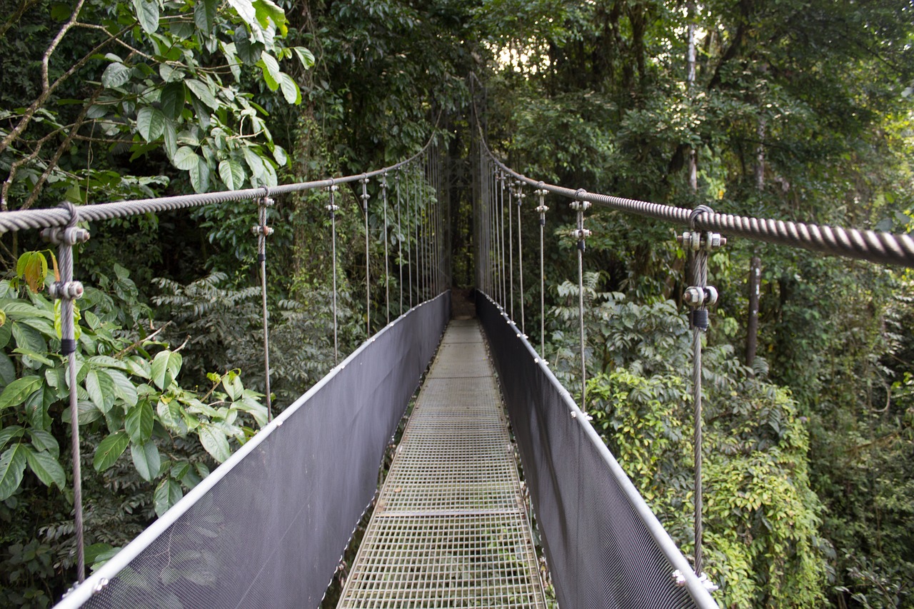 Réserve de Santa Helena au Costa Rica