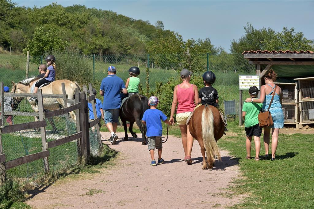 une ferme pédagogique en France