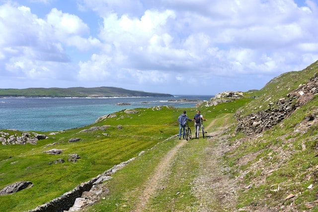 paysage d'irlande au printemps