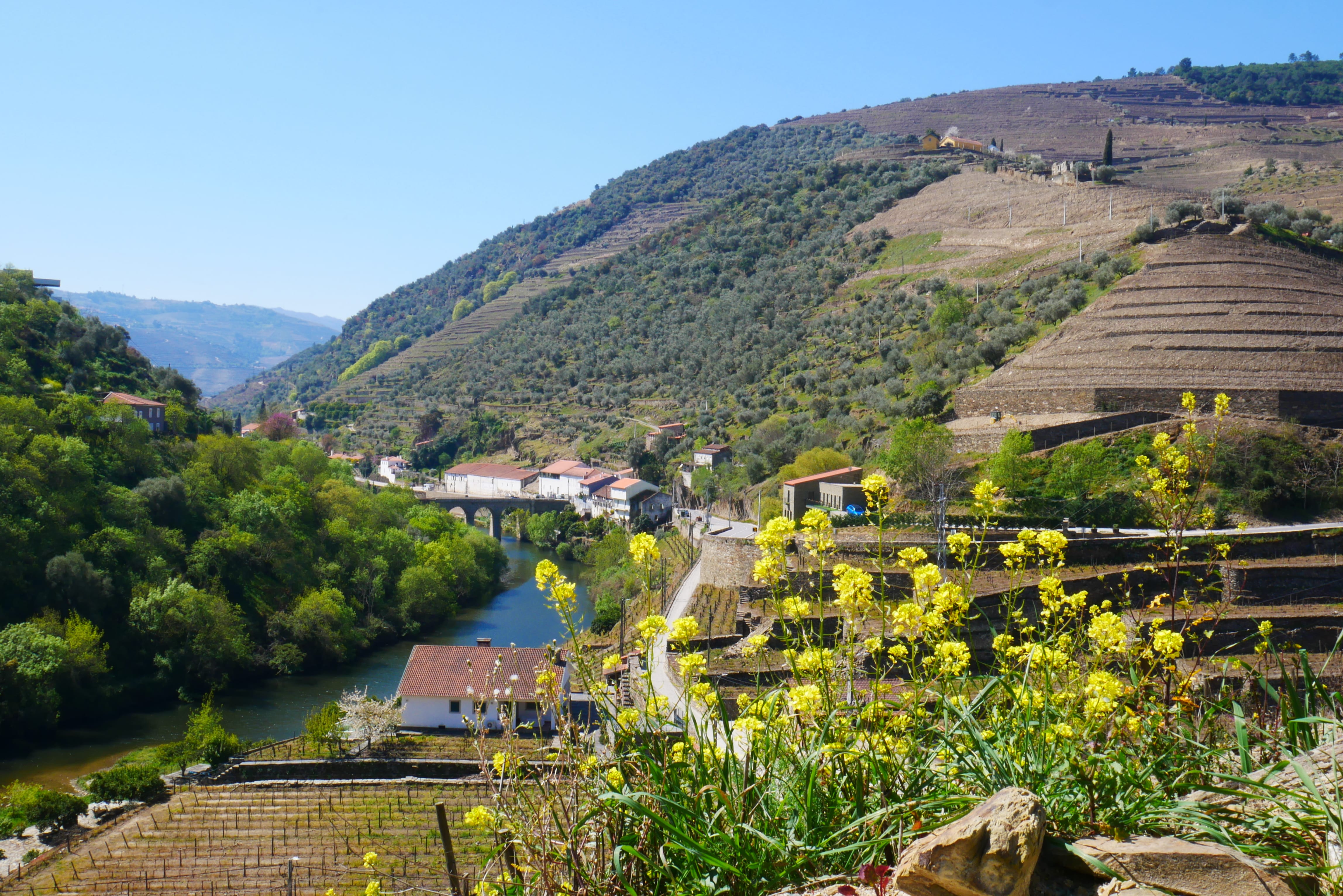 vallée du douro au portugal pinhao