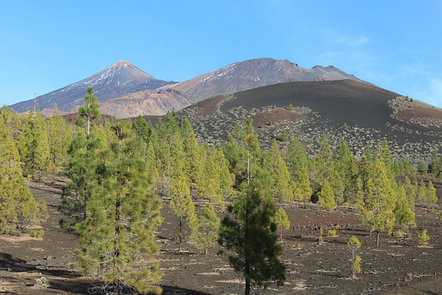 Le parc du Tiede à Tenerife