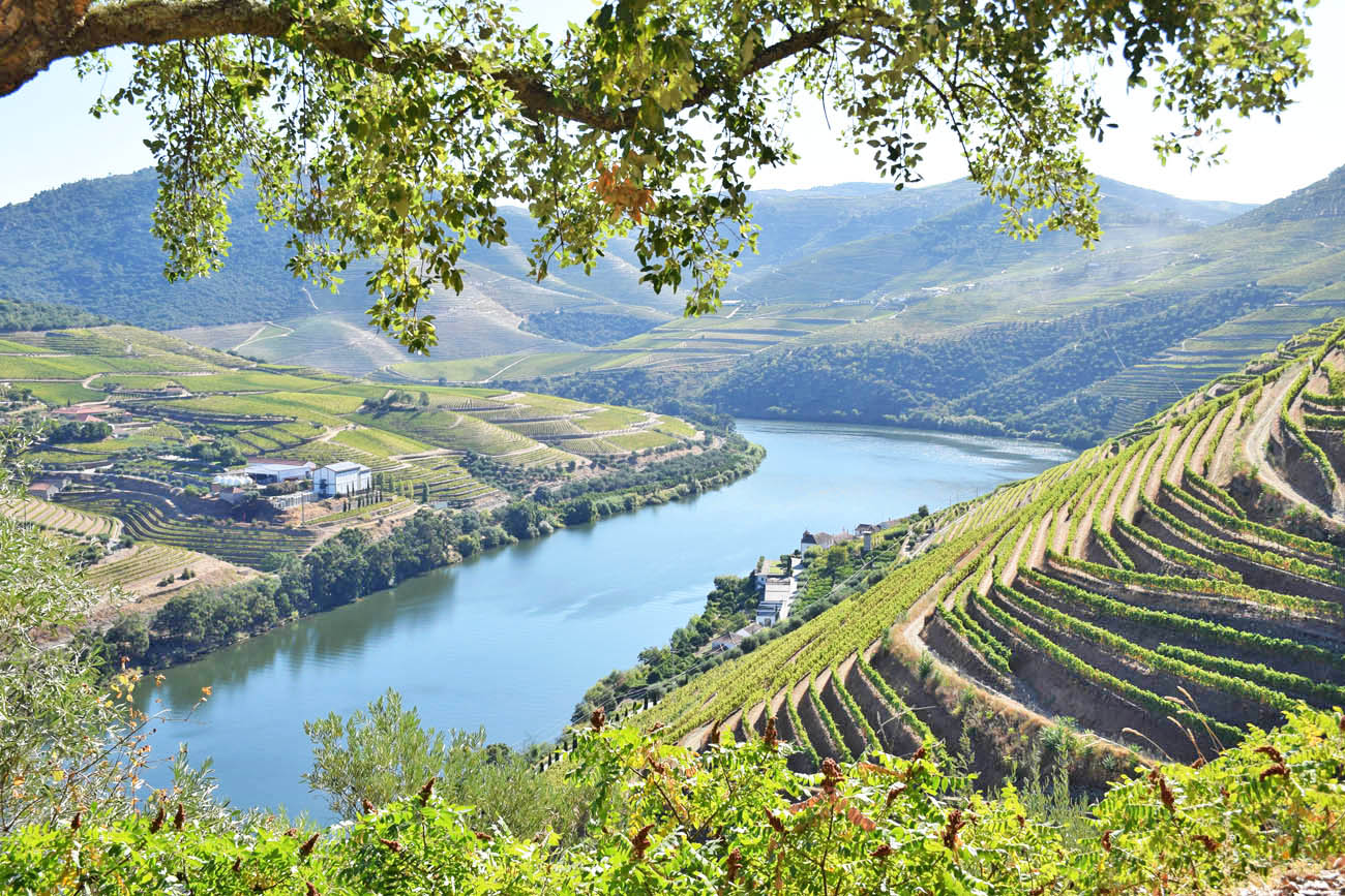 vallée du douro portugal pinhao